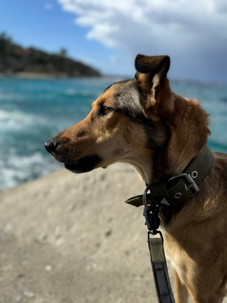 Italien - Marciana - 