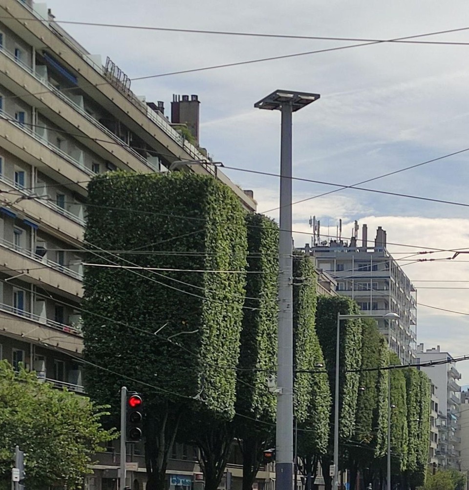 Frankreich - Treffort - Grenoble