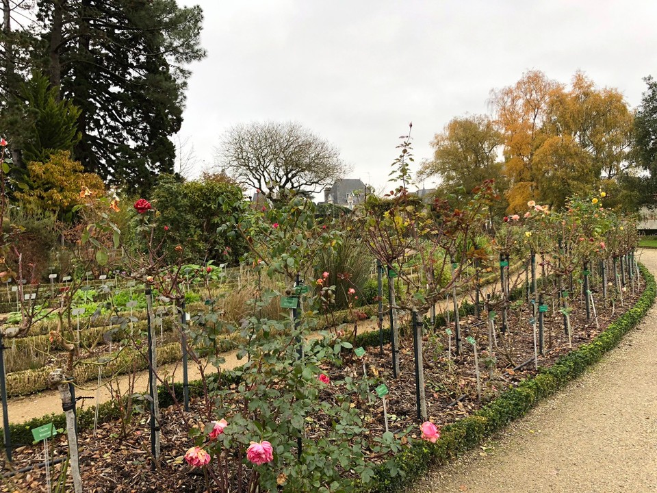 Frankreich - Rennes - 