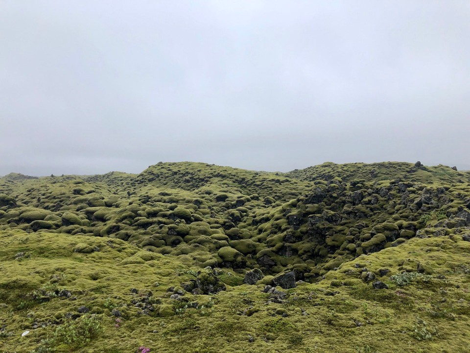 Island - Skaftárhreppur - 😍