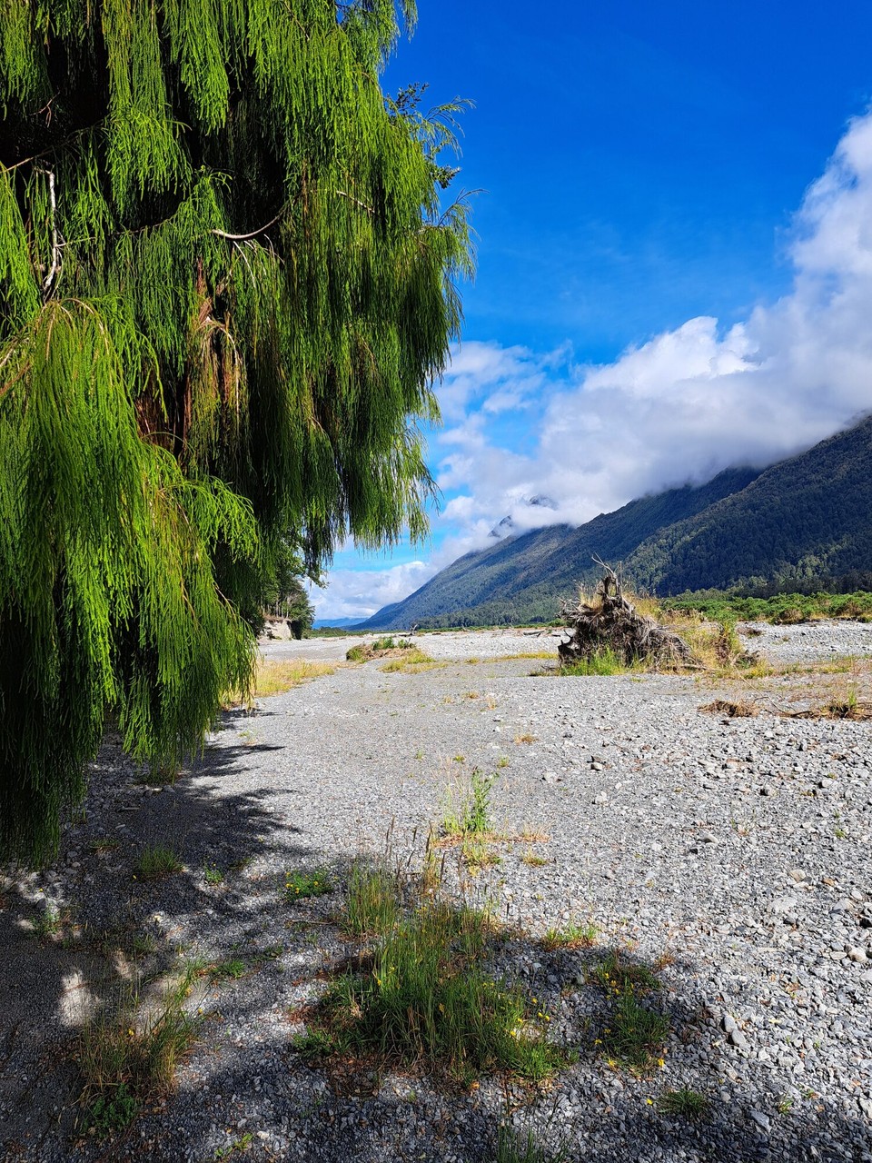 Neuseeland - Arthur’s Pass - 