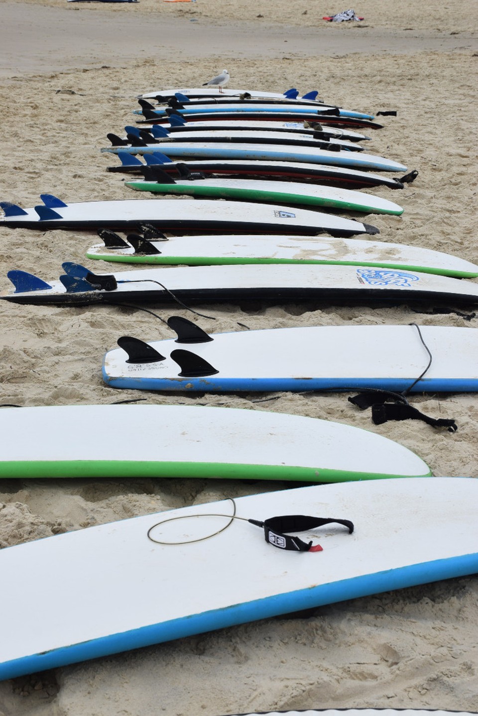 Australien - Coolangatta - 
