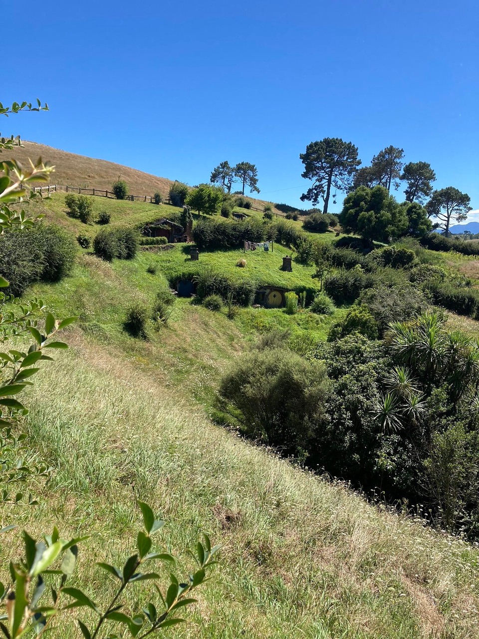 Neuseeland - Matamata - 