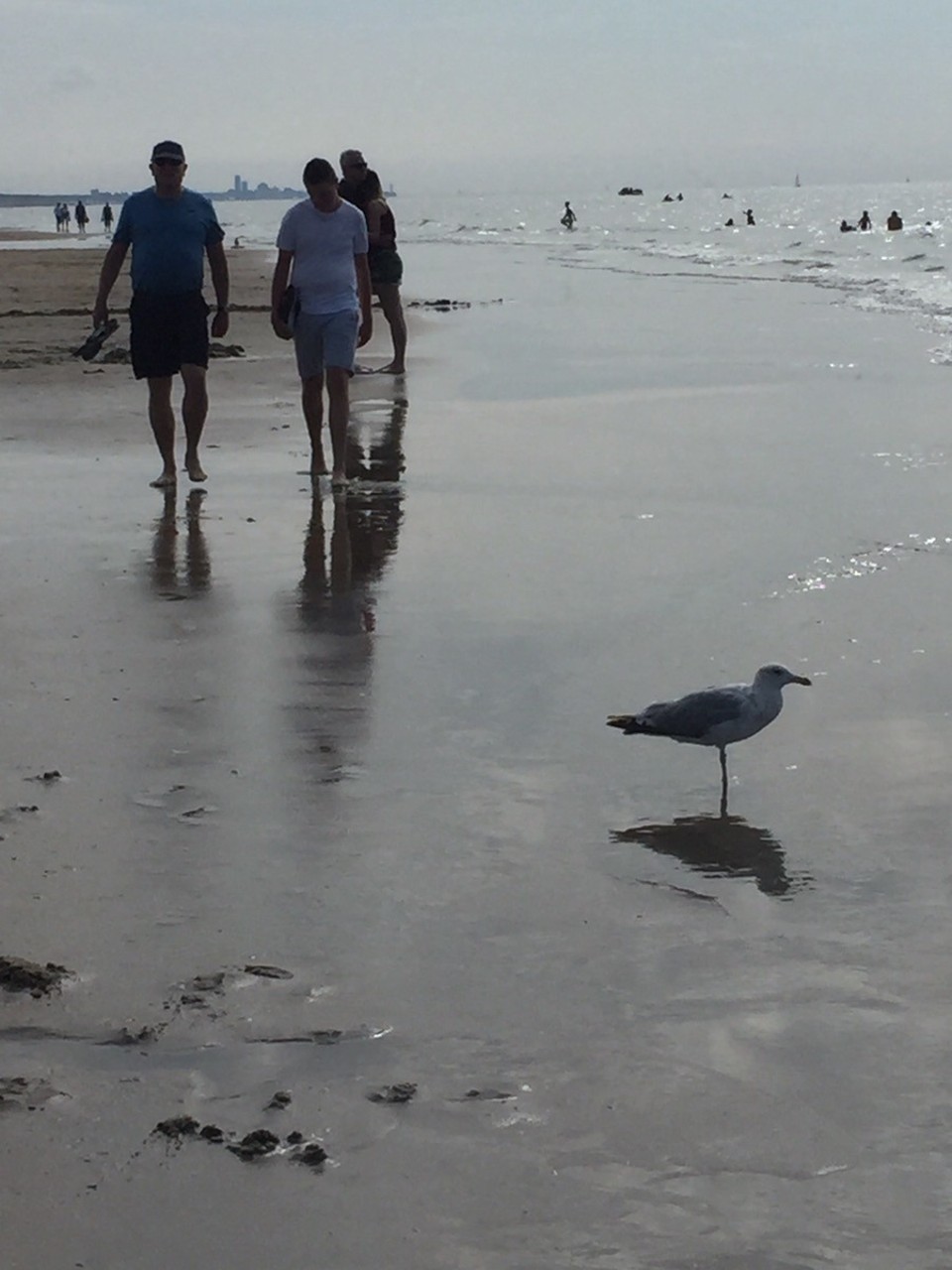 Niederlande - Katwijk - 