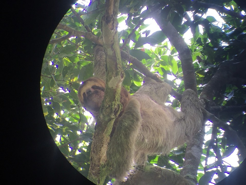 Costa Rica - Aguirre - 