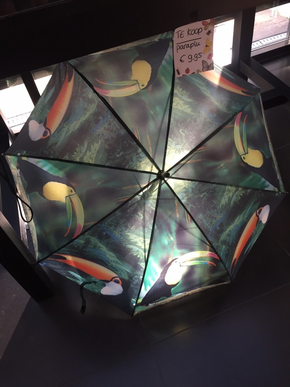 Niederlande - Katwijk - Yeah....mein neuer Schirm....