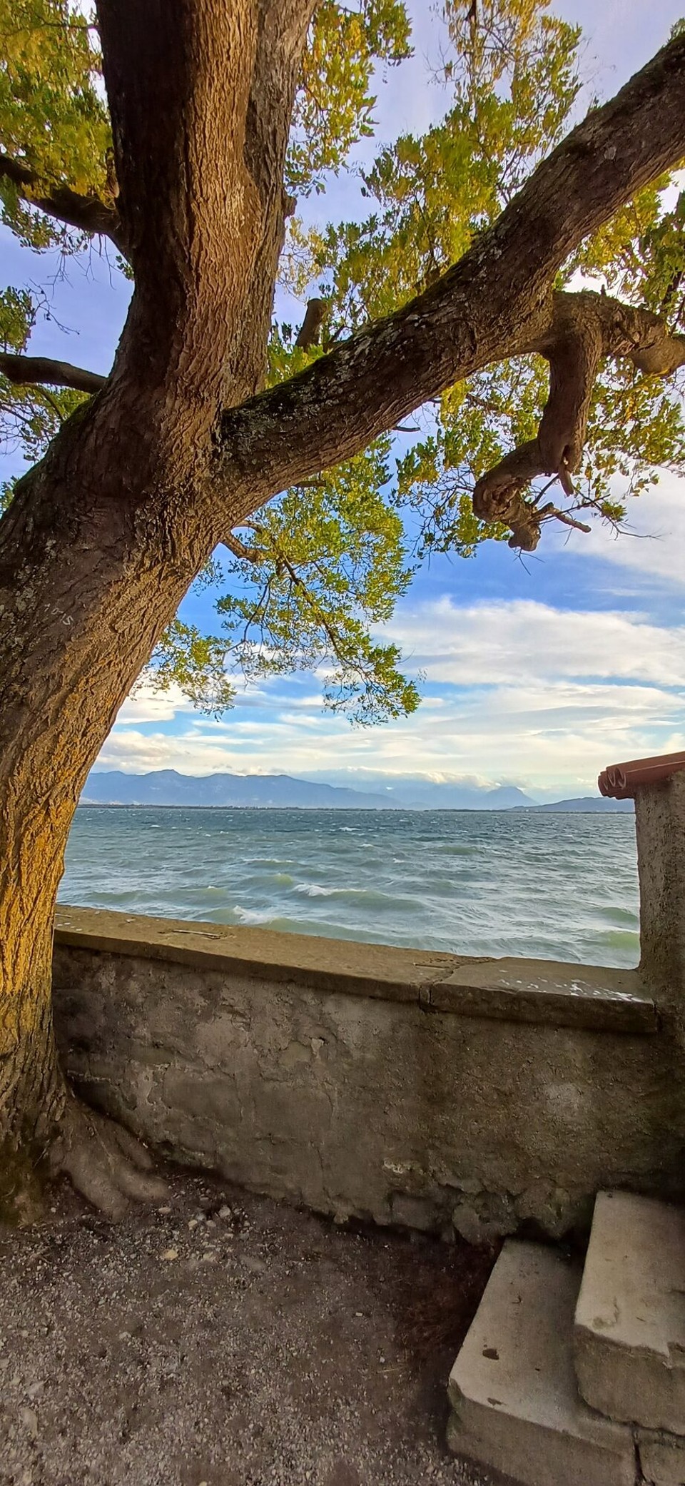 Deutschland - Lindau (Bodensee) - 