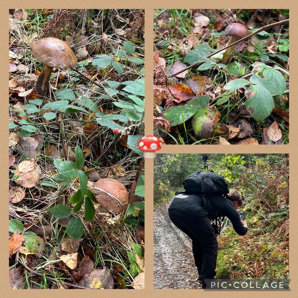 Vereinigtes Königreich - Glasgow - 