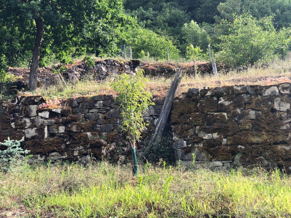 Deutschland - Trier - Aufstieg zum Weinberg , aber wo gehts hoch?