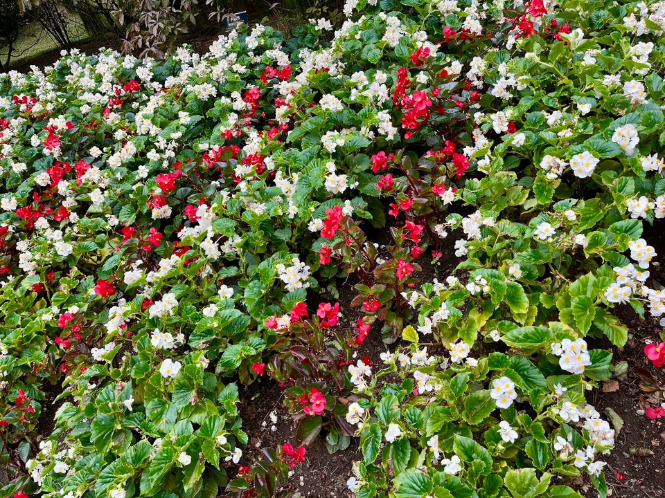 Italien - Verbania - 