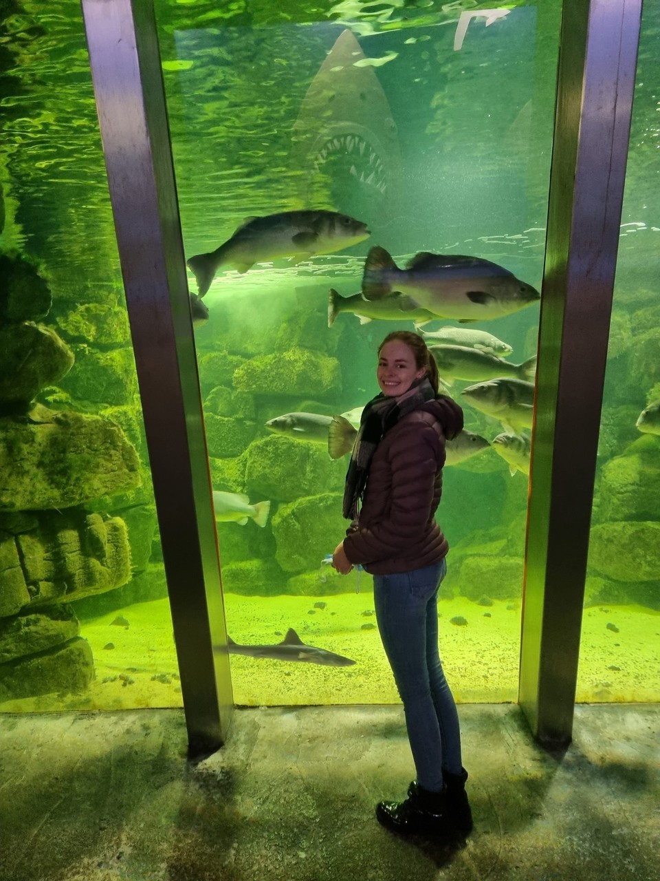 Irland - Galway - 