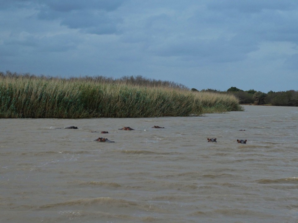 Südafrika - iSimangaliso-Wetland-Park - 