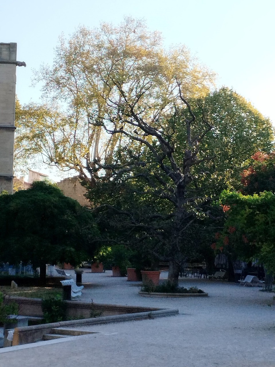 Frankreich - Avignon - 