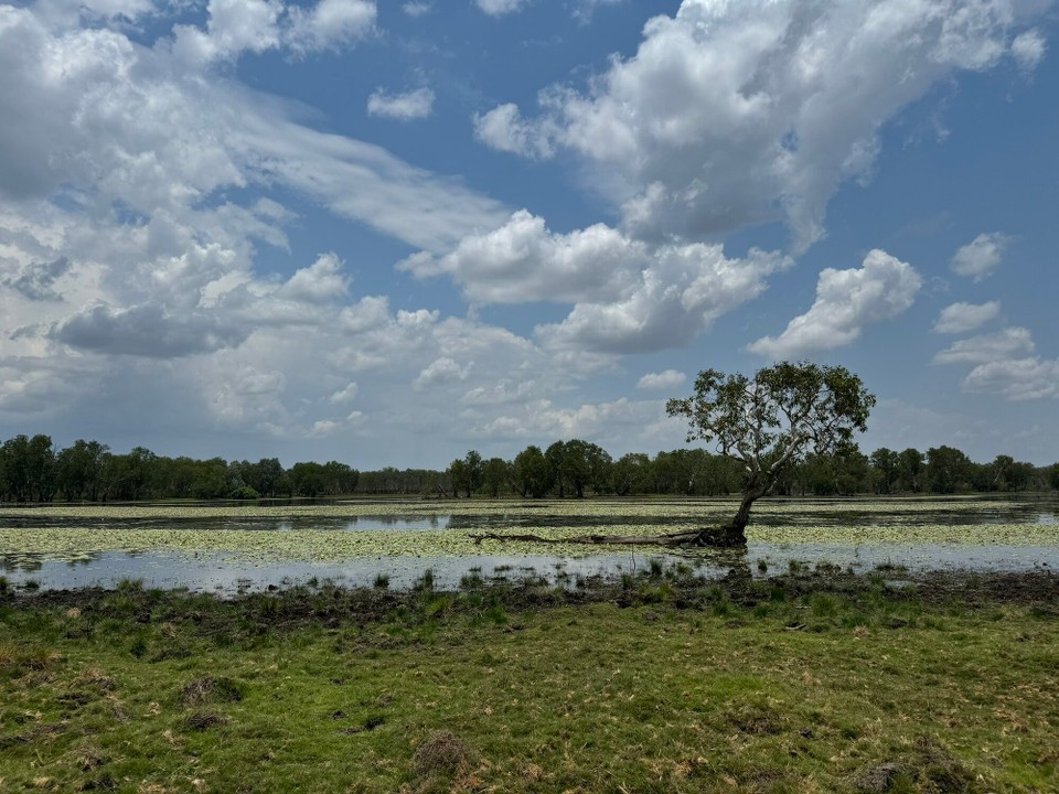 Australien - Kakadu - Sandy Billabong