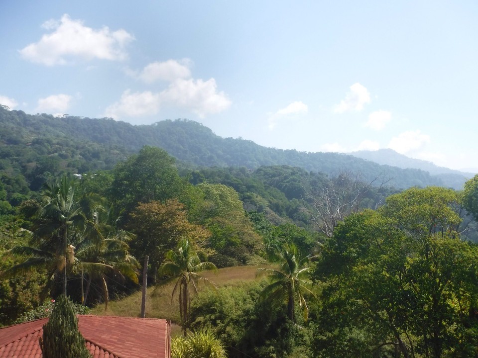 Costa Rica - Osa - 