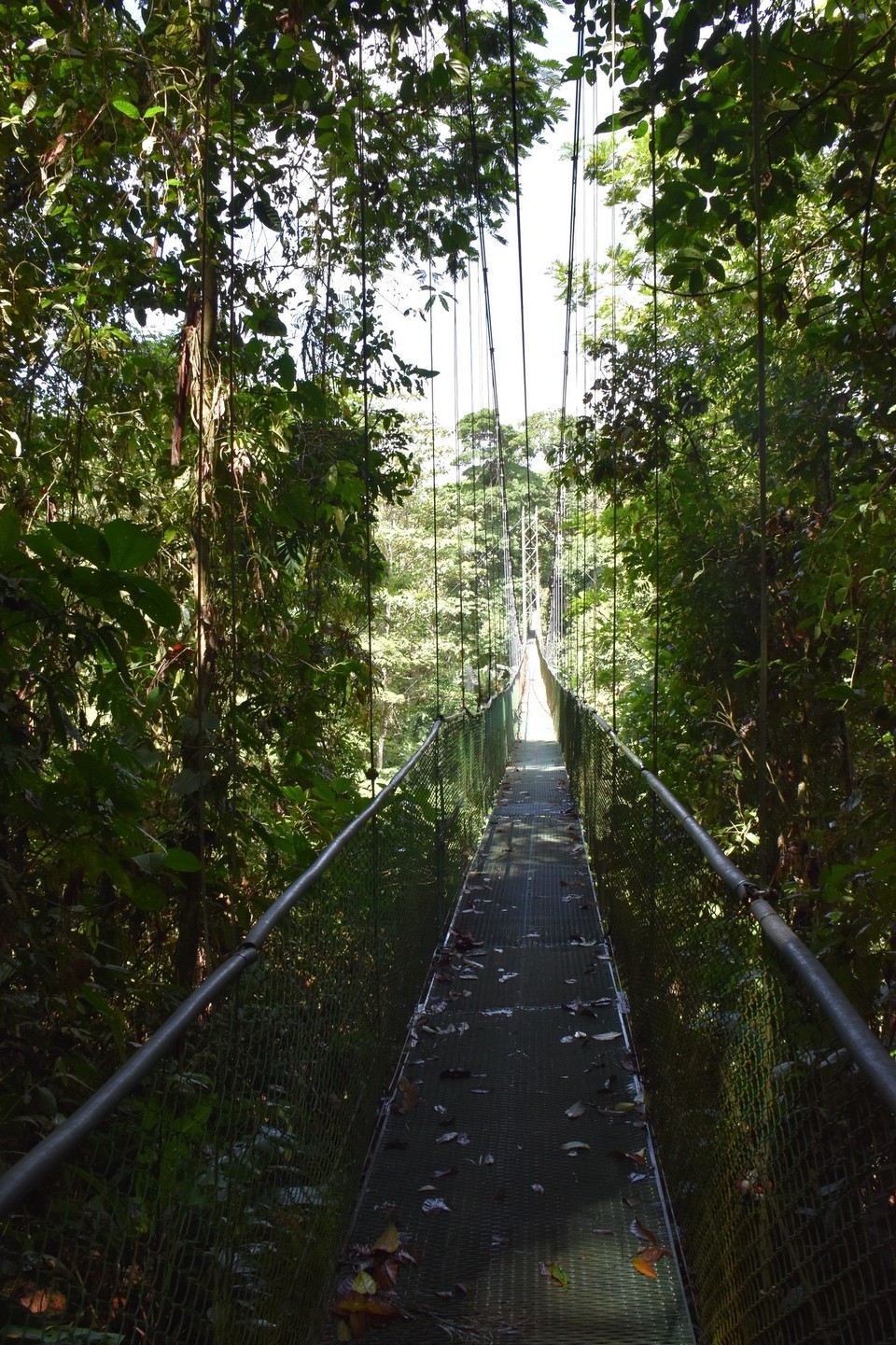 Costa Rica - San Carlos - Nachdem wir ordentlich durchgeschwitzt sind von dem feucht - warmen Klima geht es fix unter die Dusche und dann zum Auto.