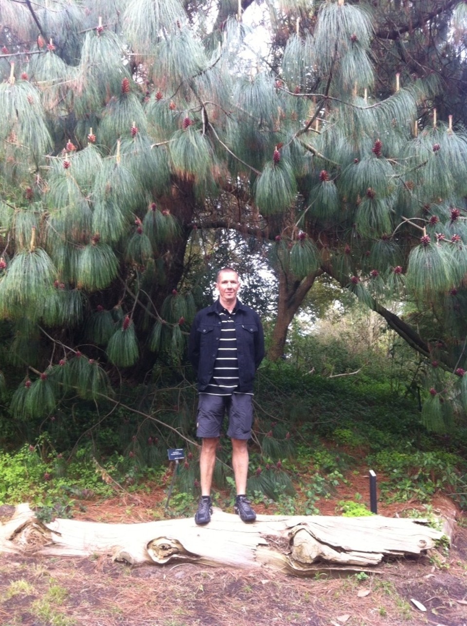 Egyesült Államok - San Francisco - 