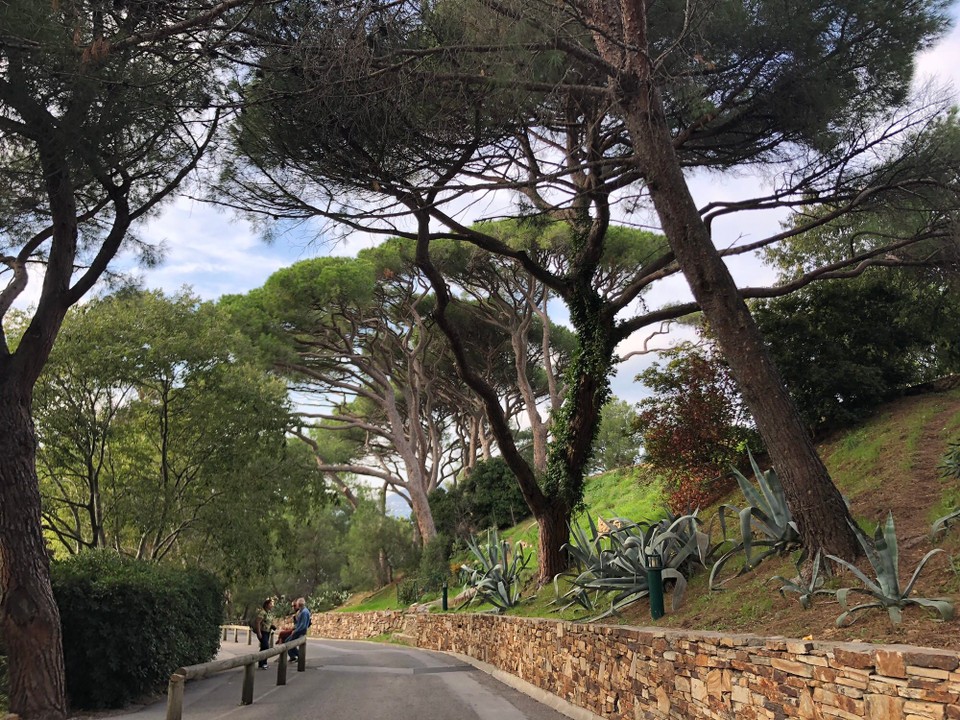 Frankreich - Saint-Tropez - 