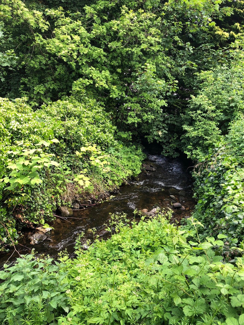 Vereinigtes Königreich - Pitlochry - 