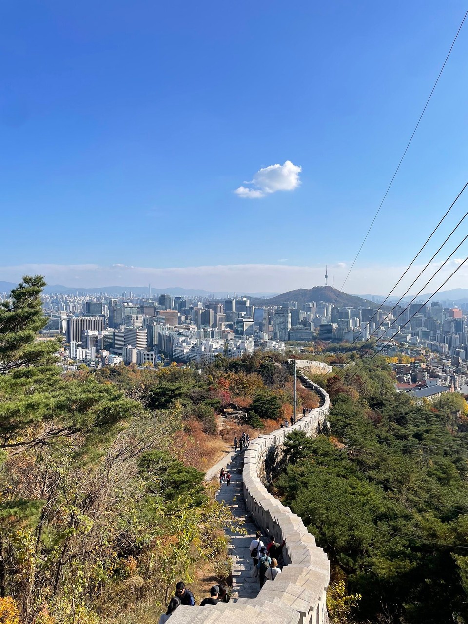 대한민국 - 서울특별시 - 