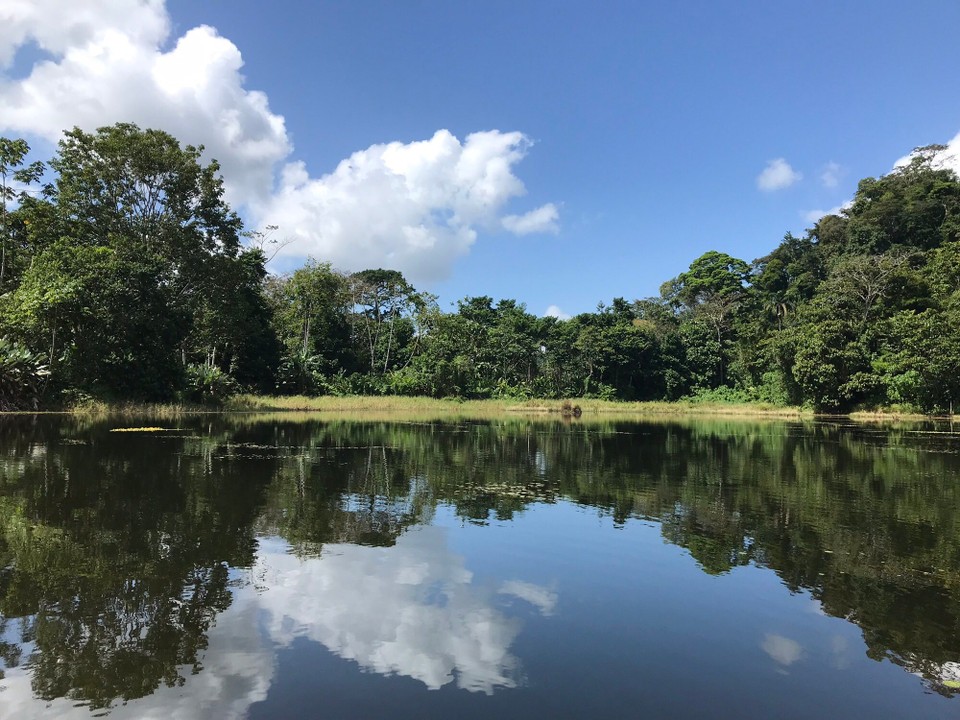 Costa Rica - San Carlos - 