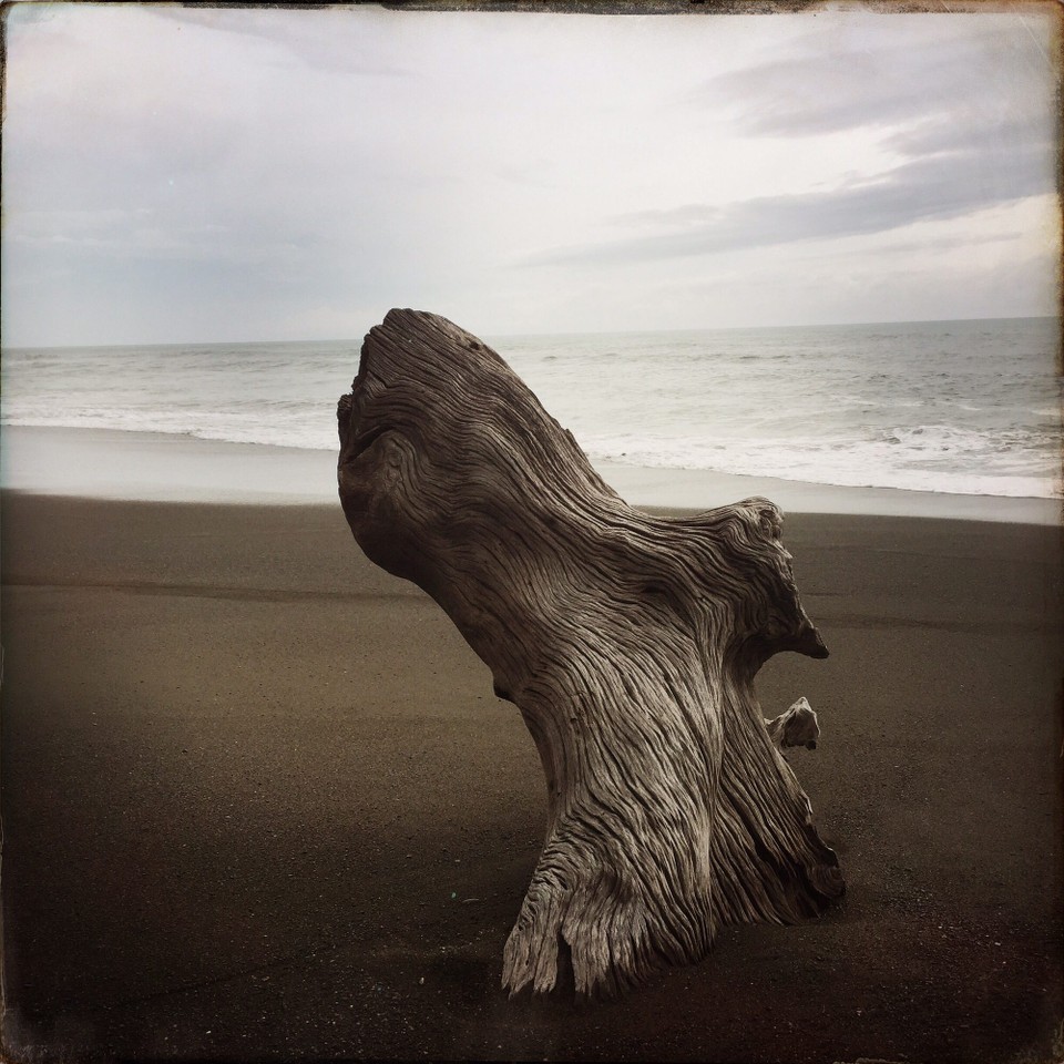 Costa Rica - Osa - 