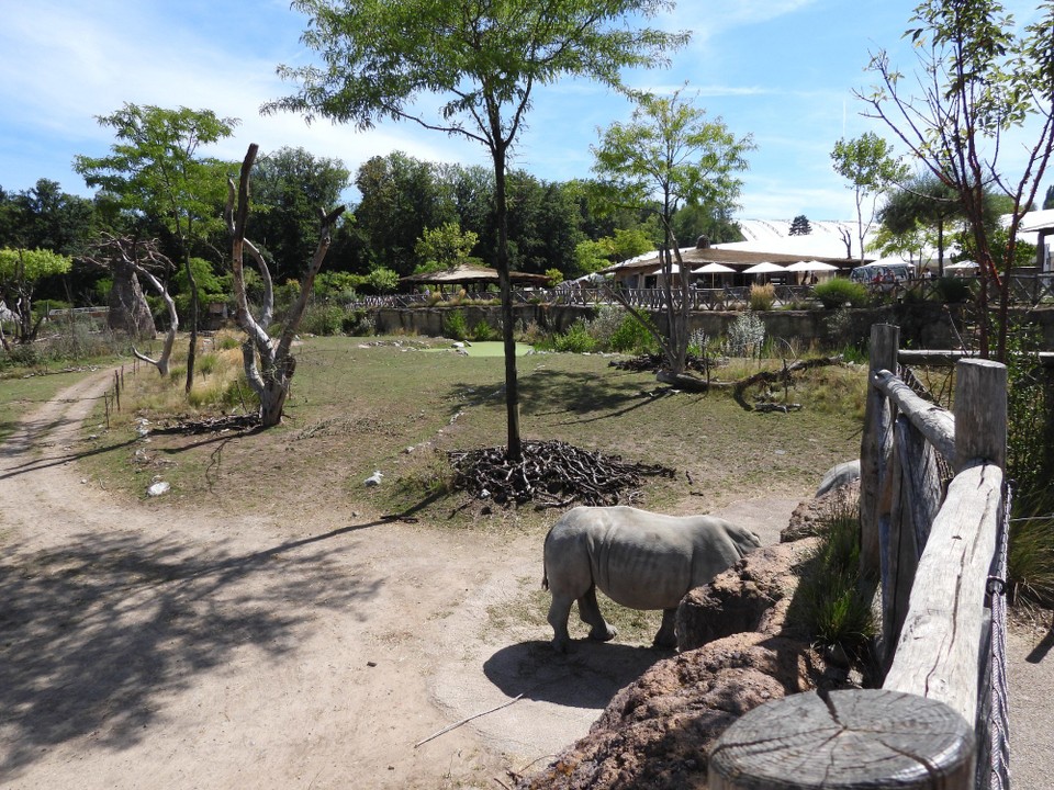 Schweiz - Zürich - Die Anlage ist gross und auf der Aussichtsterrasse hat es ein Restaurant. Man kommt sich wirklich vor, wie auf Afrika Safari
