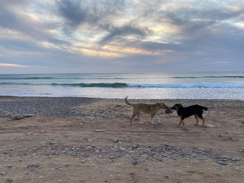 Marokko - Agadir - 