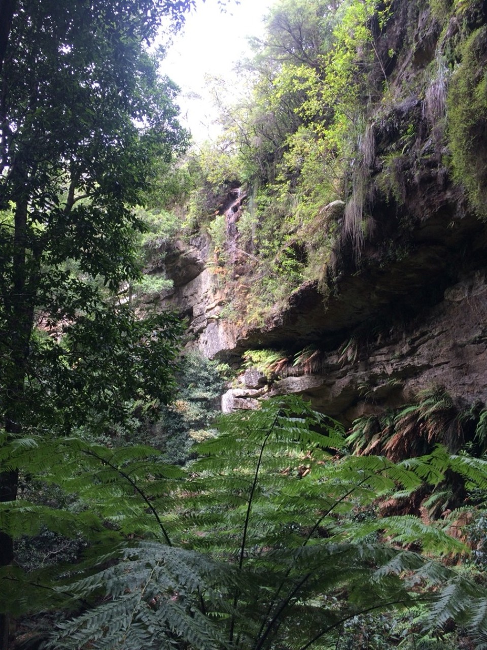 Australien - Katoomba - 