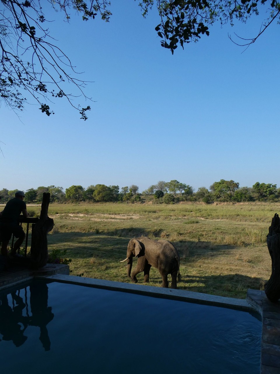 Südafrika - Kruger-Nationalpark - 