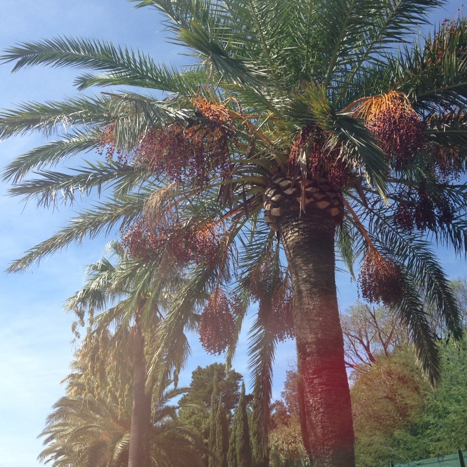 Frankreich - Saint-Tropez - 