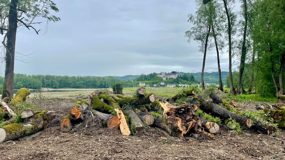 Österreich - Linz - 