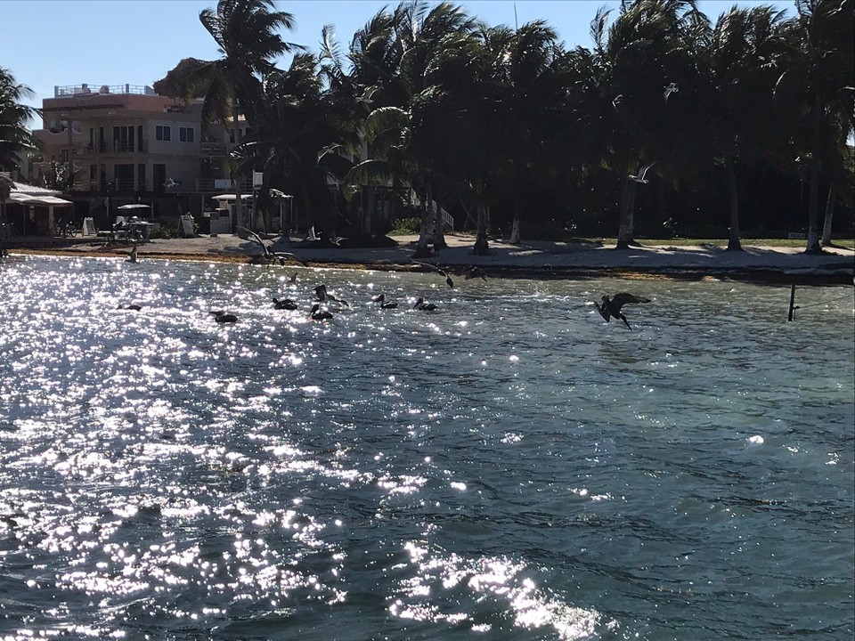 Belize - San Pedro - 