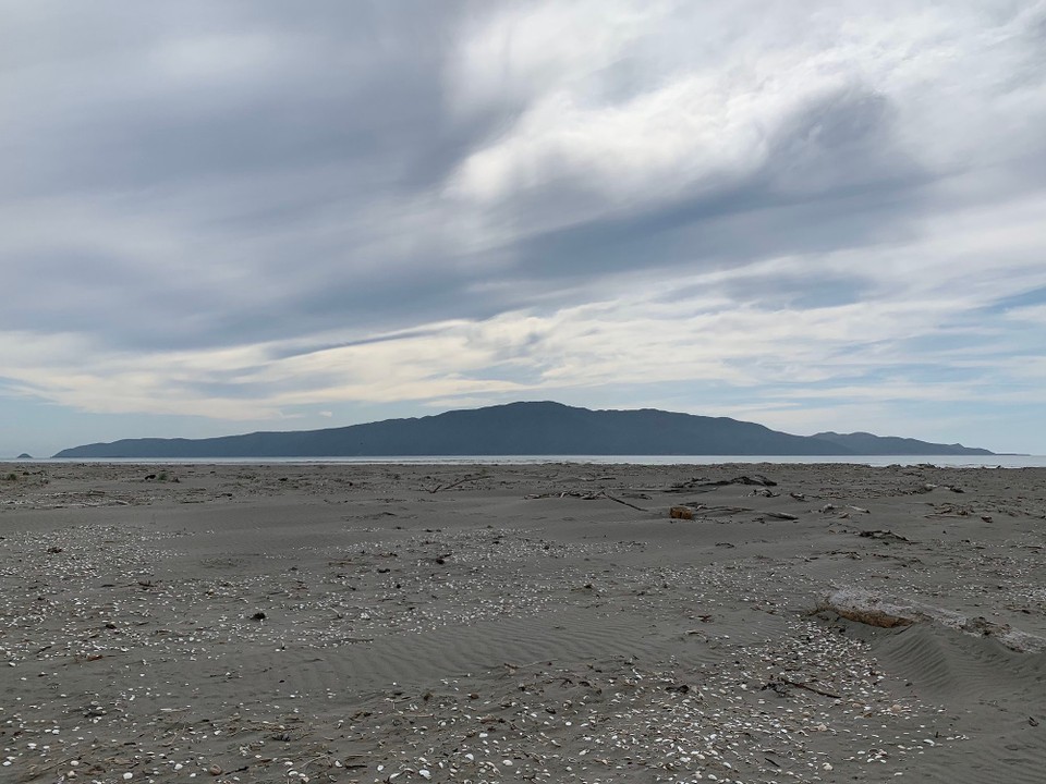 Neuseeland - Waikanae Beach - 