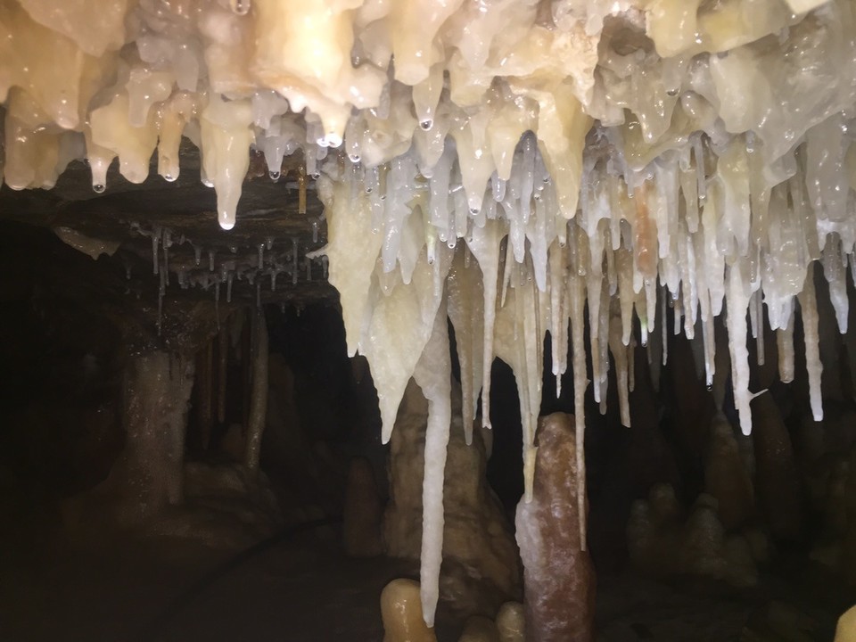 Australia - Lakes Entrance - Buchan caves were buchan great!