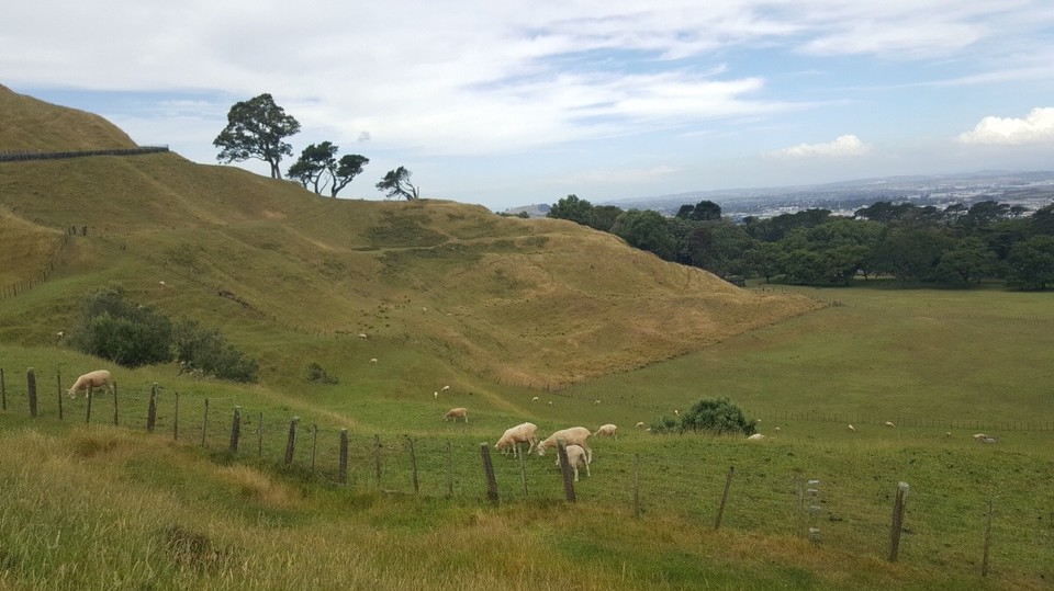 Neuseeland - Auckland - Schon jetzt fast wie im Auenland.
