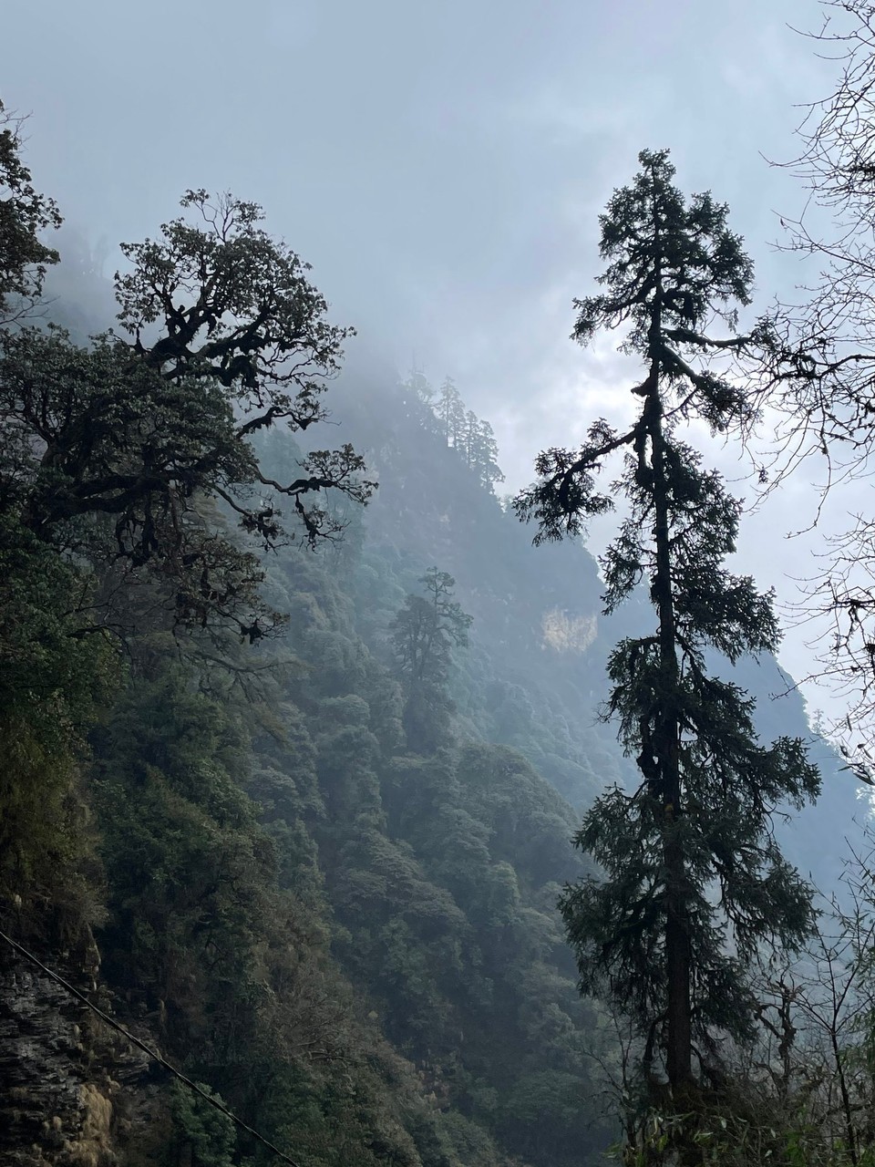 Nepal -  - 
