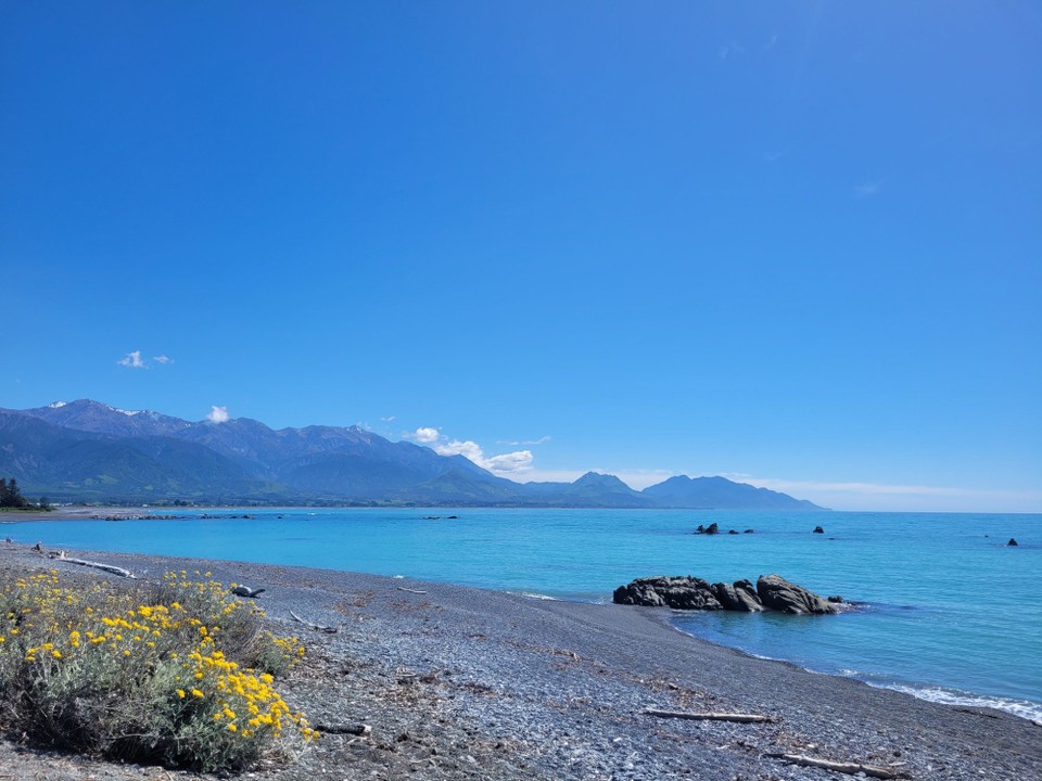 Neuseeland - Kaikoura - 