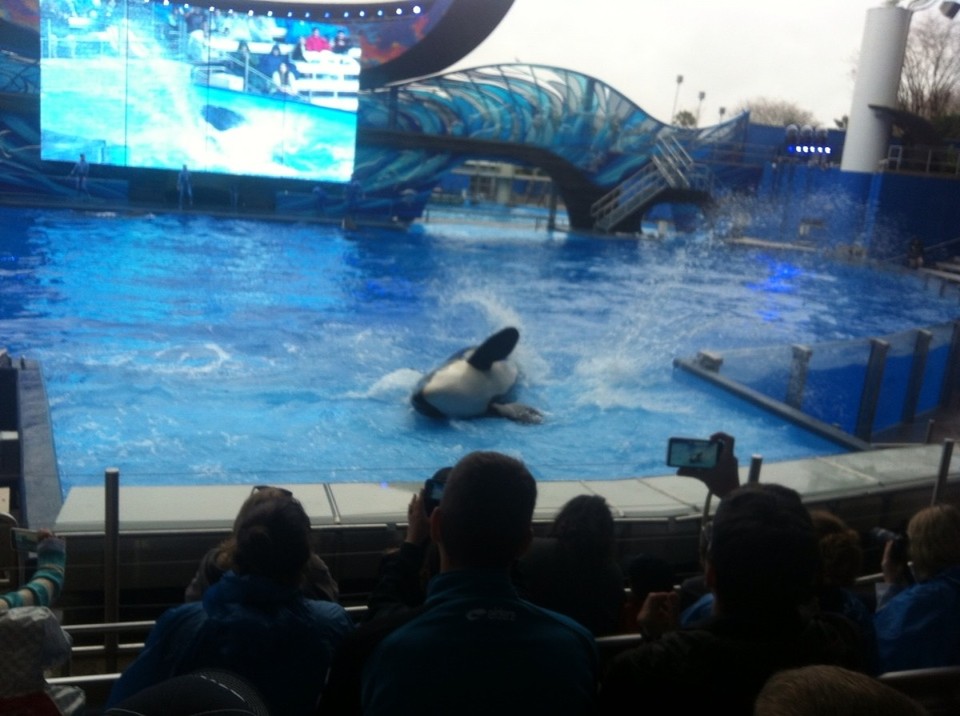 Egyesült Államok - Orlando - 