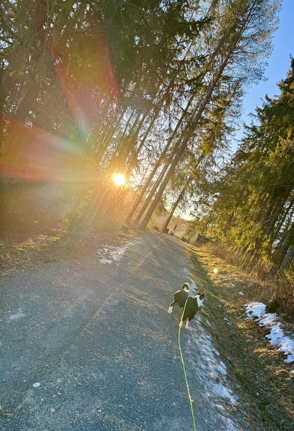 Norwegen - Fåberg - 