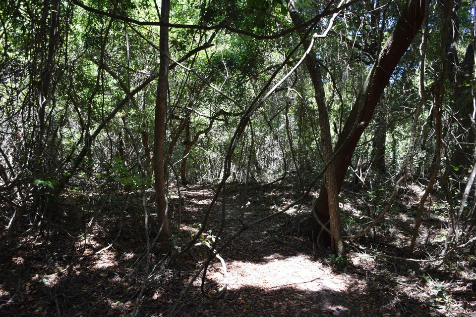 Australien - Iluka - 