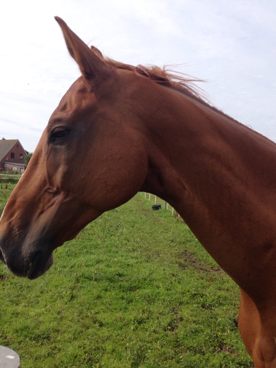 Deutschland - Borkum - 