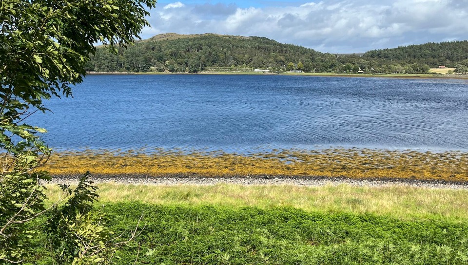 Royaume-Uni - Ullapool - 