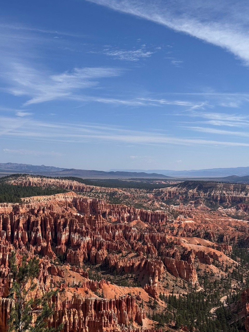 Vereinigte Staaten - Tropic - 