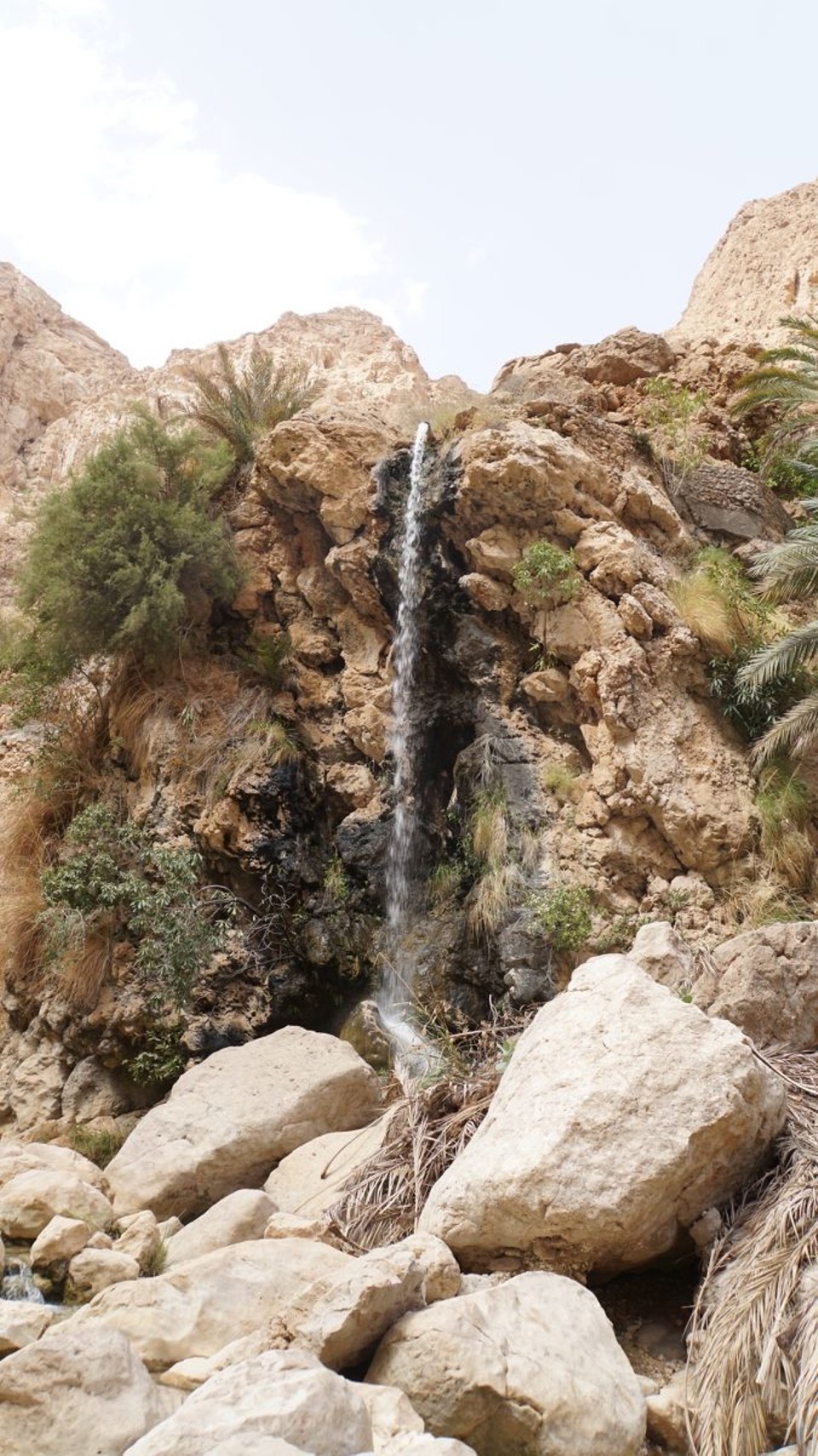 Oman -  - 