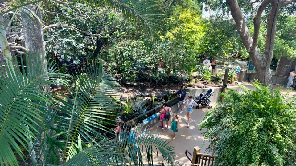 Vereinigte Staaten - Tampa - 