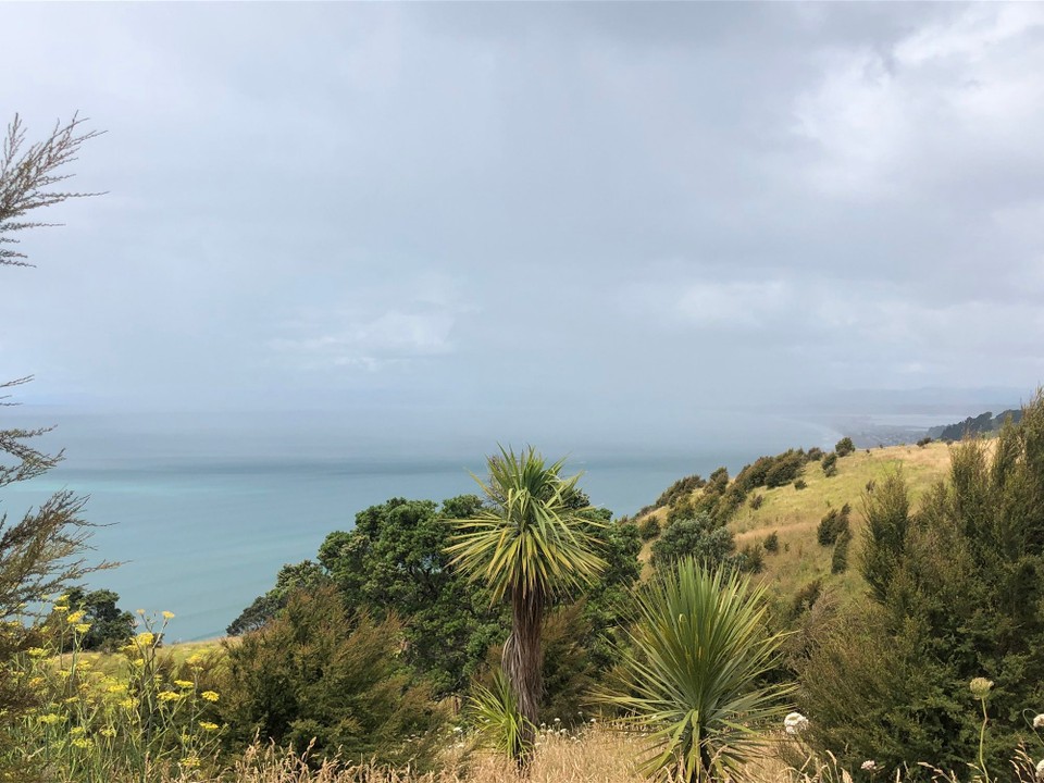 Neuseeland - Whakatane - 