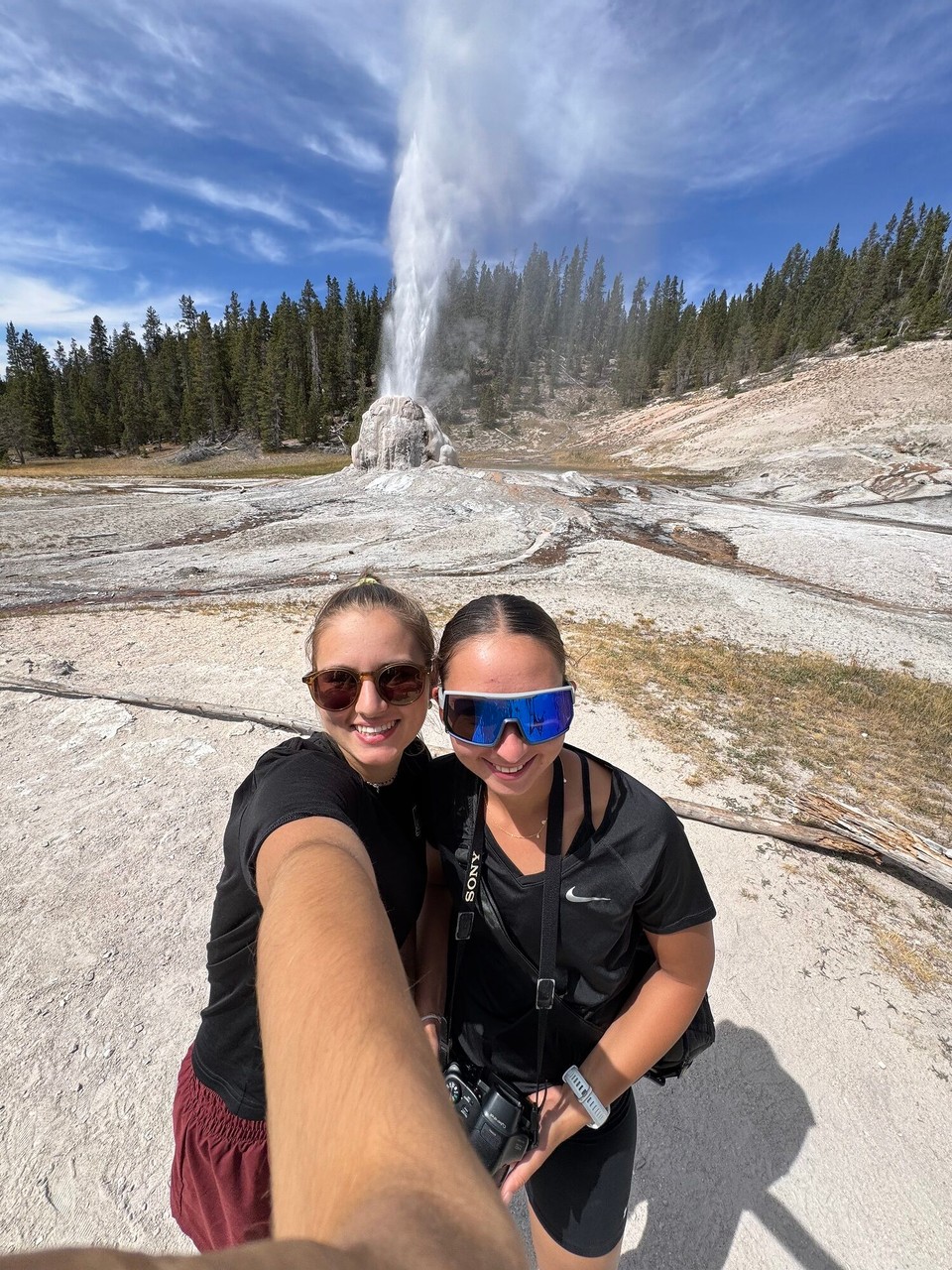 Vereinigte Staaten - Yellowstone National Park - 