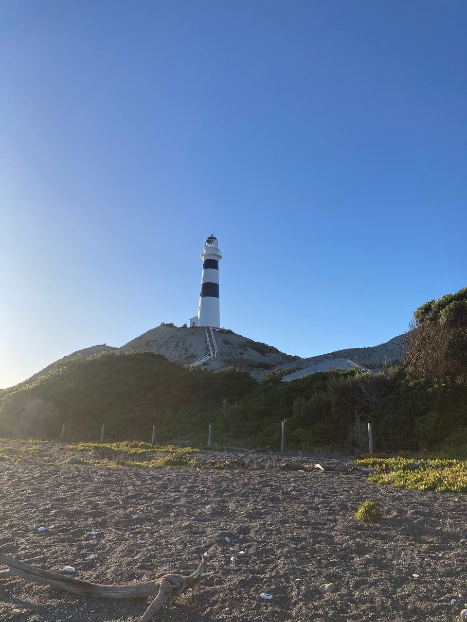 Neuseeland - Seddon - 