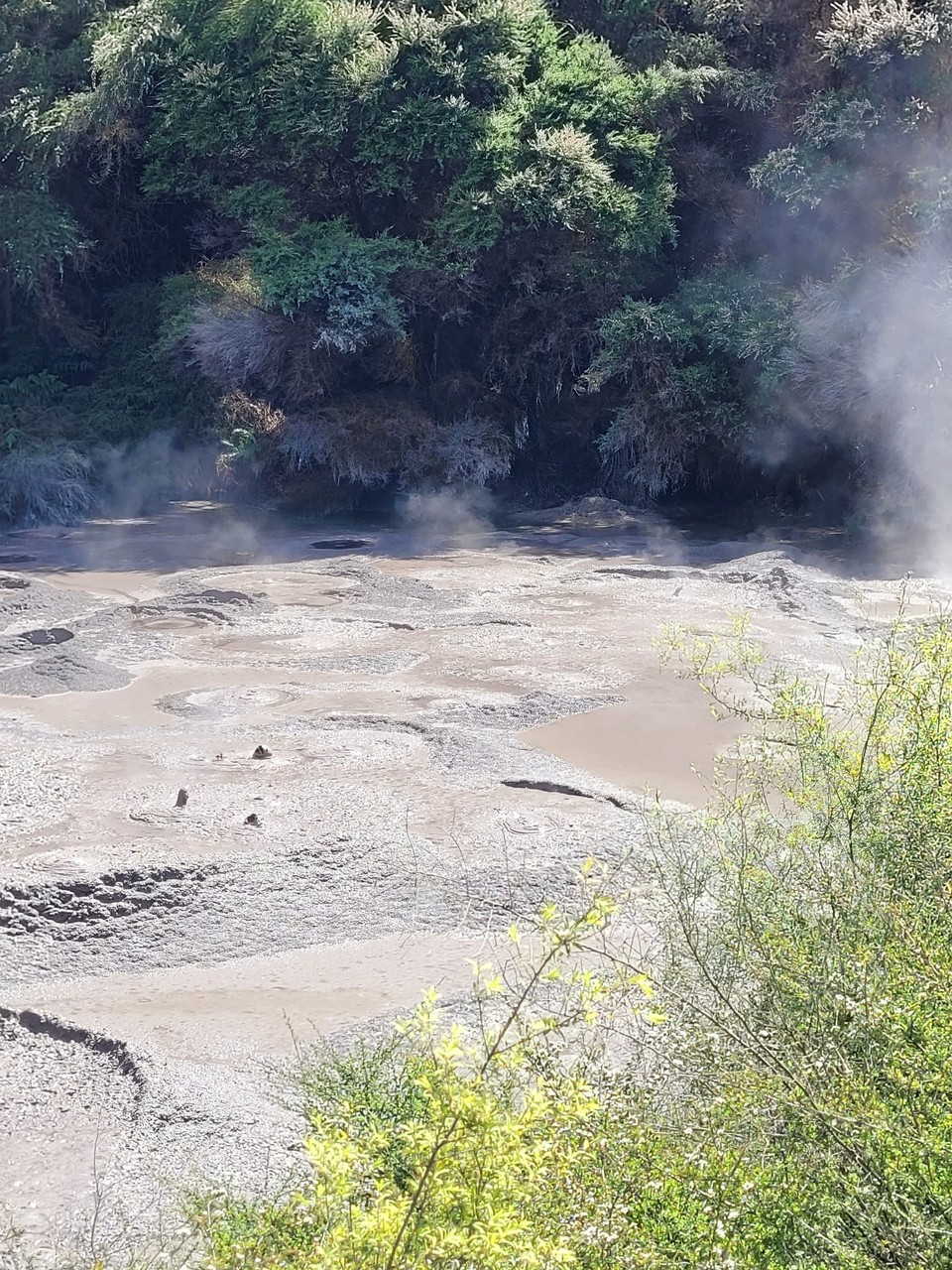 Neuseeland - Rotorua - 